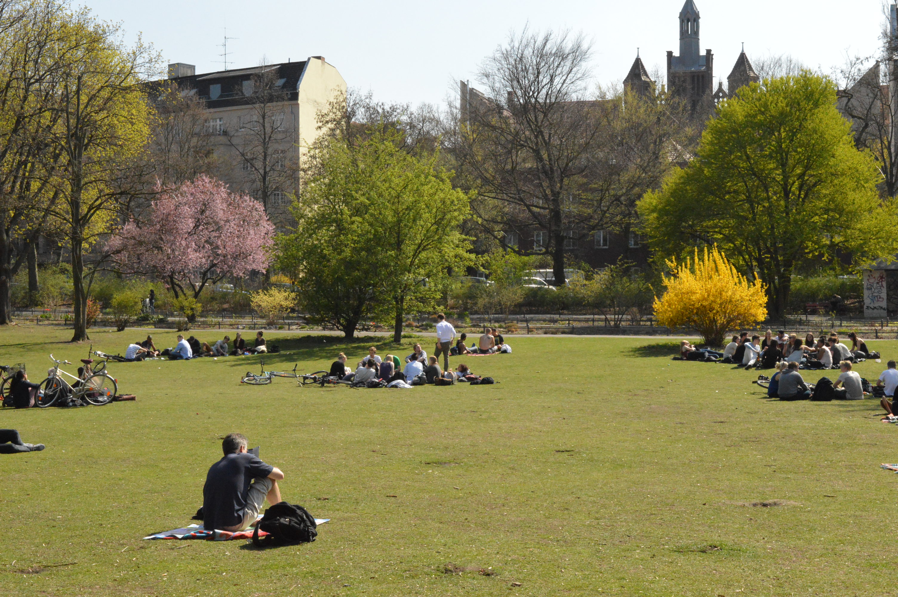 Frühling in Berlin